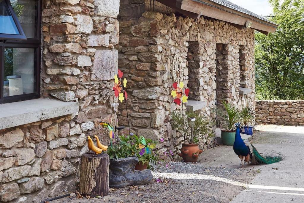 Kingsford Renovated Old Cottage Wexford Ngoại thất bức ảnh