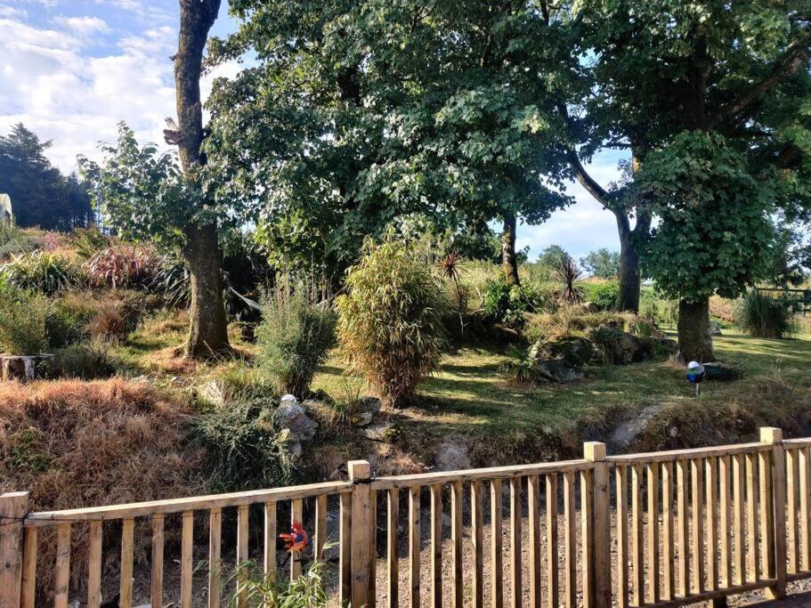 Kingsford Renovated Old Cottage Wexford Ngoại thất bức ảnh