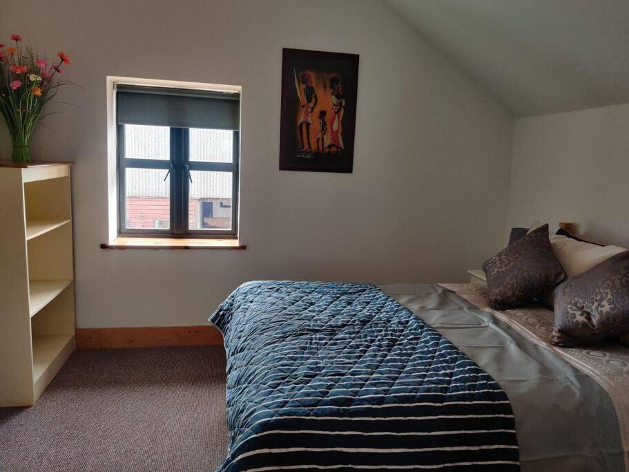 Kingsford Renovated Old Cottage Wexford Ngoại thất bức ảnh