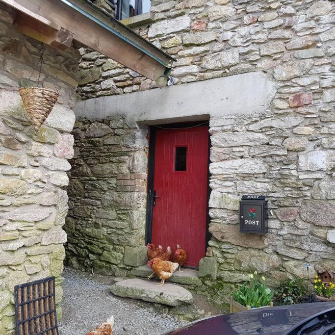 Kingsford Renovated Old Cottage Wexford Ngoại thất bức ảnh