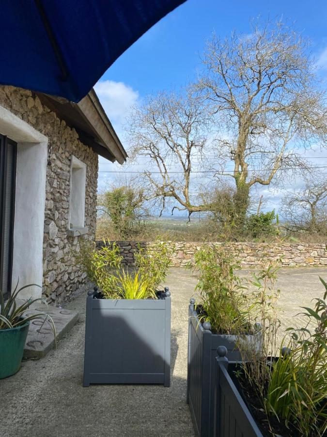 Kingsford Renovated Old Cottage Wexford Ngoại thất bức ảnh