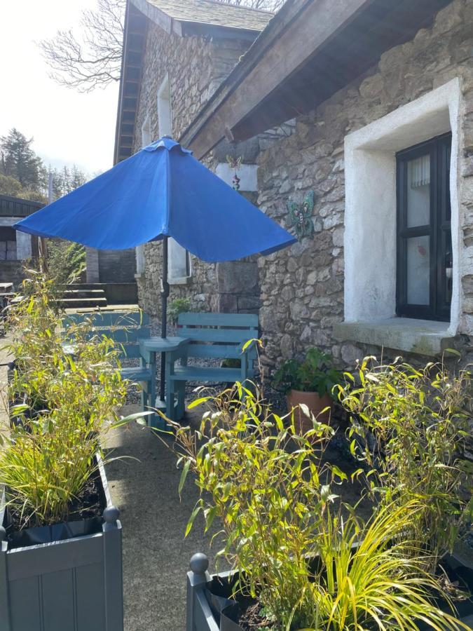 Kingsford Renovated Old Cottage Wexford Ngoại thất bức ảnh